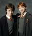 Harry-and-Ron-harry-potter-world-2254951-644-727